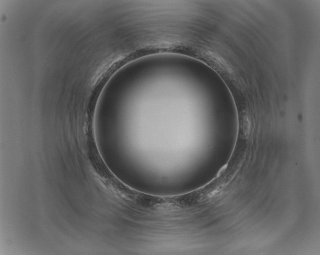 X0000075840544200609221707