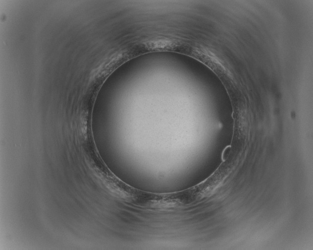 X0000075840545200609221707