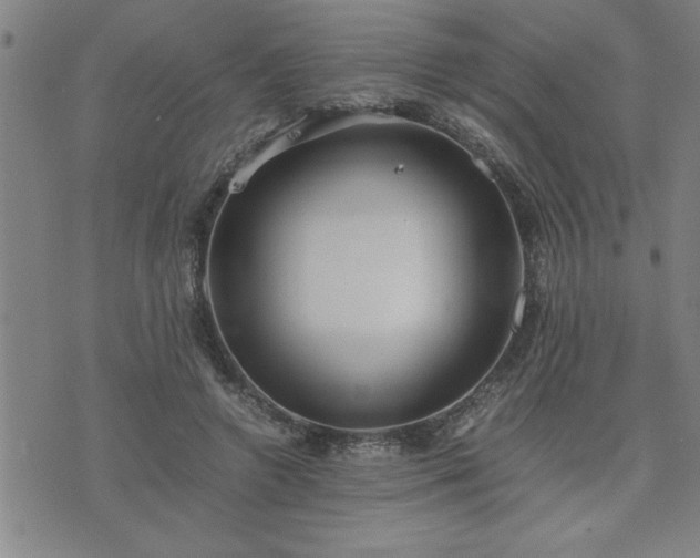 X0000075840546200609221707