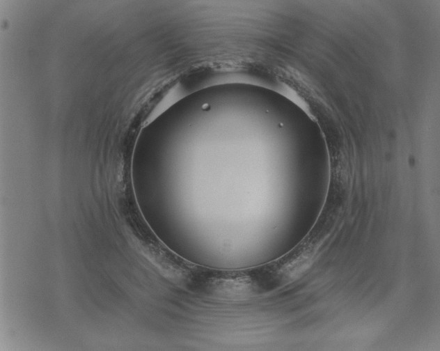 X0000075840548200609221708