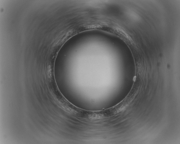 X0000075840549200609221708