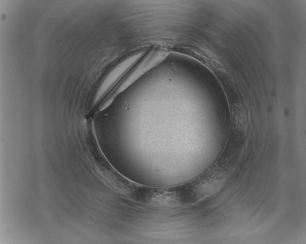 X0000075840550200609221708