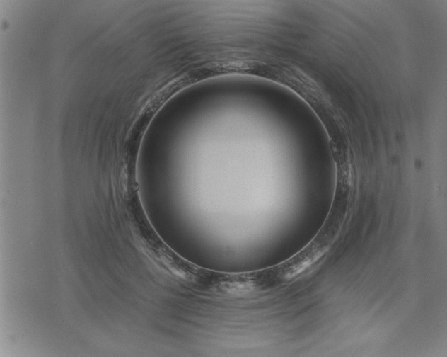 X0000075840552200609221708