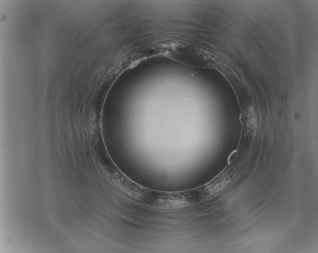 X0000075840559200609221708