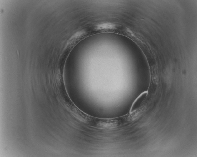 X0000075840563200609221708