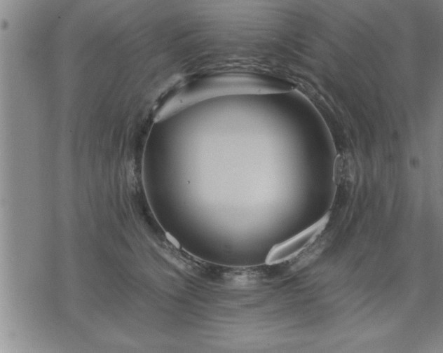 X0000075840564200609221708