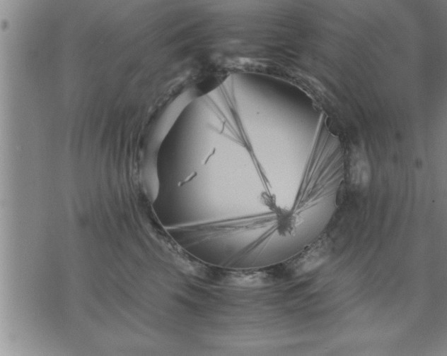 X0000075840569200609221708