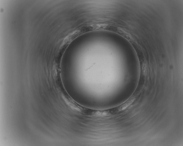 X0000075840570200609221708