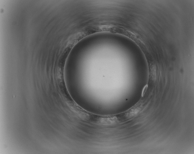 X0000075840571200609221708