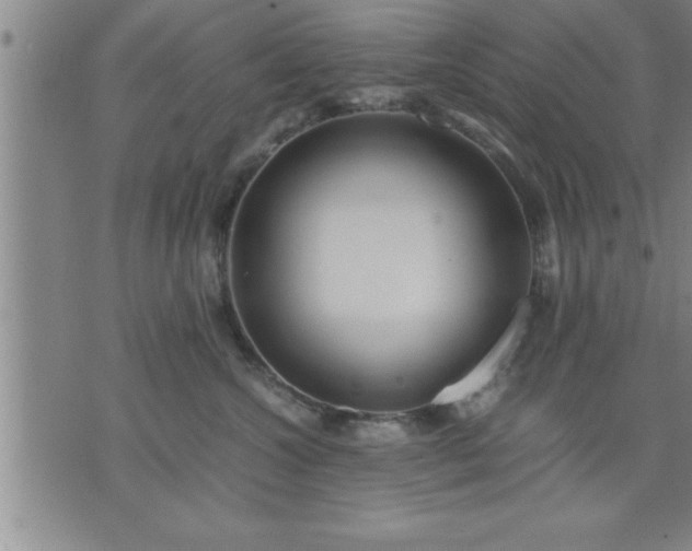 X0000075840572200609221708