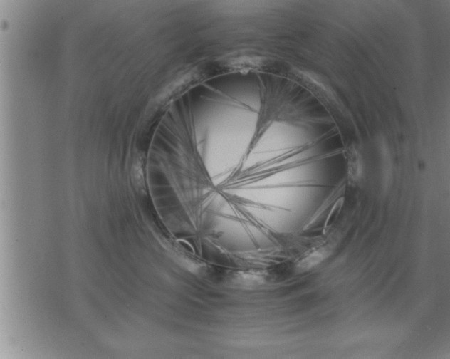 X0000075840573200609221708