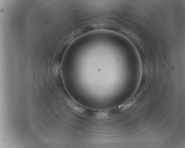 X0000075840574200609221708