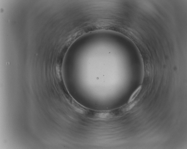 X0000075840575200609221708