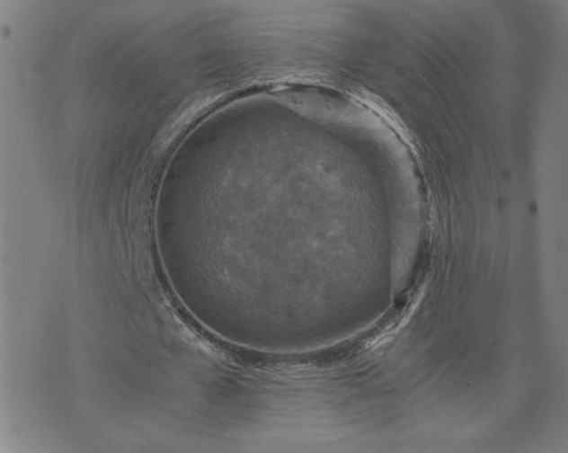 X0000075840577200609221707