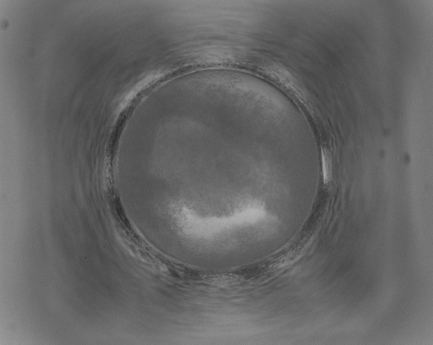 X0000075840579200609221707