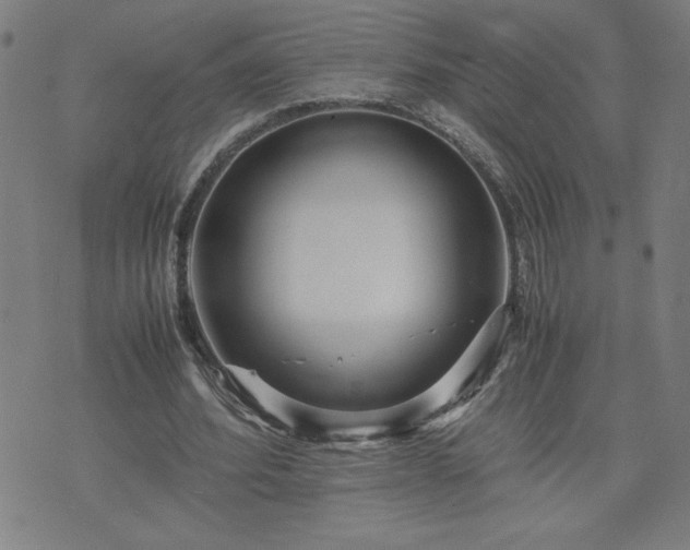 X0000075840580200609221707