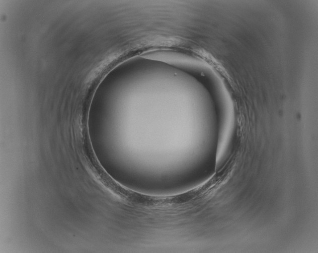 X0000075840581200609221707