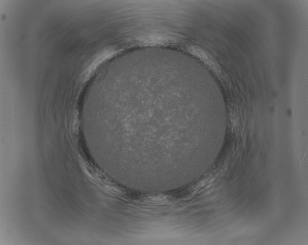 X0000075840583200609221707