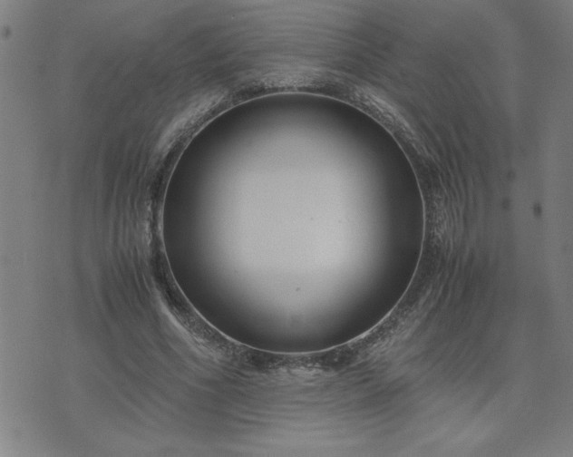 X0000075840586200609221707