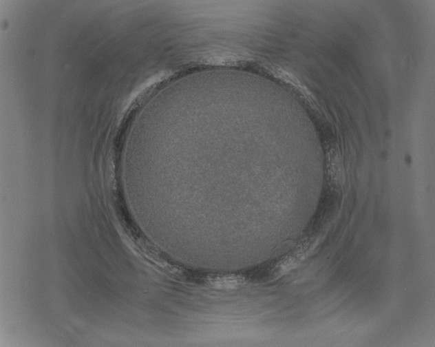 X0000075840587200609221707