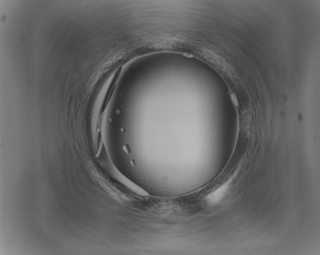 X0000075840589200609221707