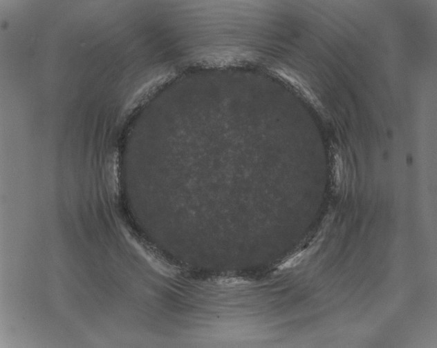 X0000075840590200609221707