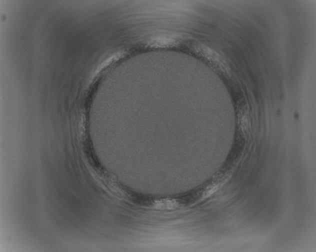 X0000075840591200609221707