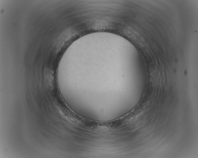 X0000075840592200609221707