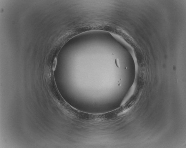 X0000075840593200609221707