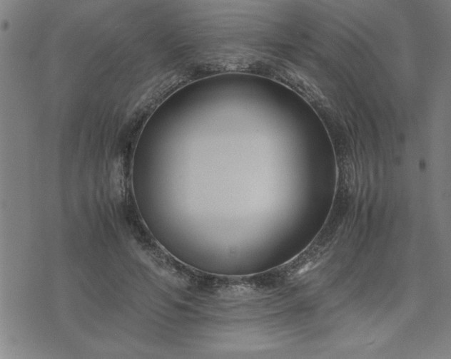 X0000075840594200609221707