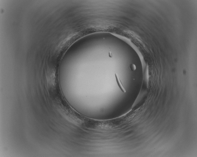 X0000075840596200609221707