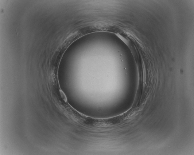 X0000075840597200609221707