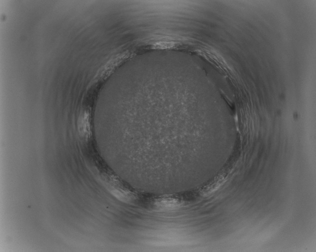 X0000075840598200609221707