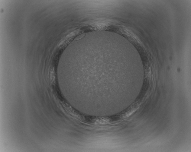 X0000075840599200609221707