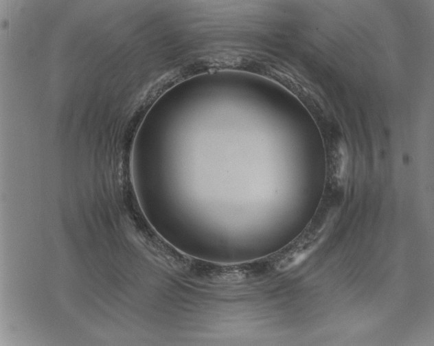 X0000075840600200609221707