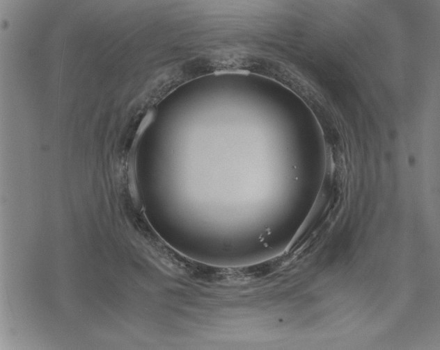 X0000075840601200609221707