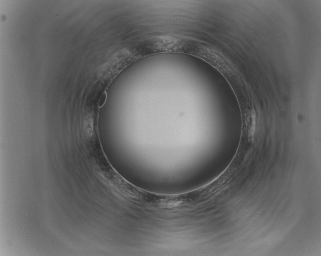 X0000075840602200609221707