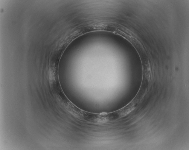 X0000075840604200609221707