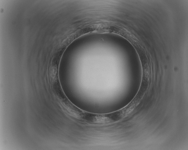 X0000075840605200609221707