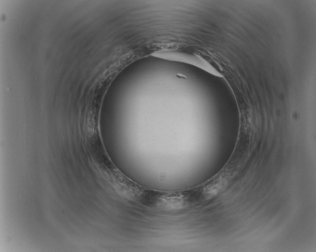 X0000075840606200609221707