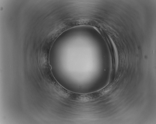 X0000075840608200609221707