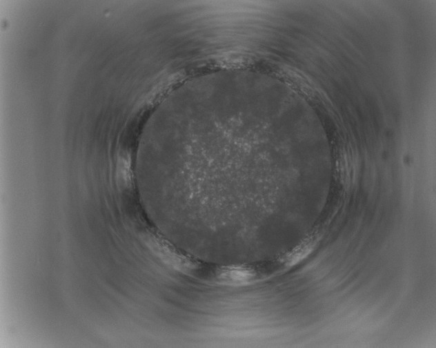 X0000075840610200609221707