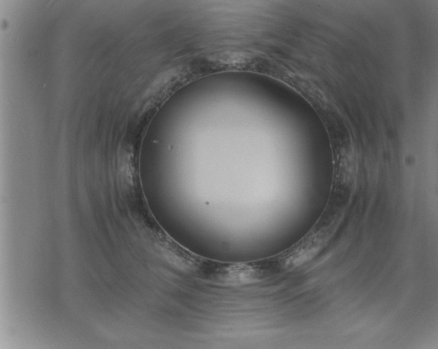 X0000075840612200609221707