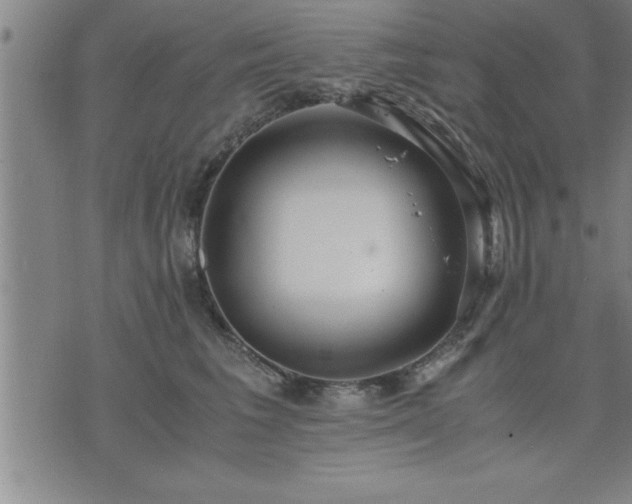 X0000075840613200609221707