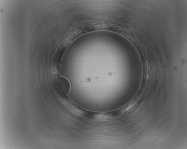 X0000075840614200609221707