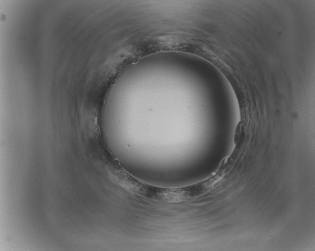 X0000075840615200609221707