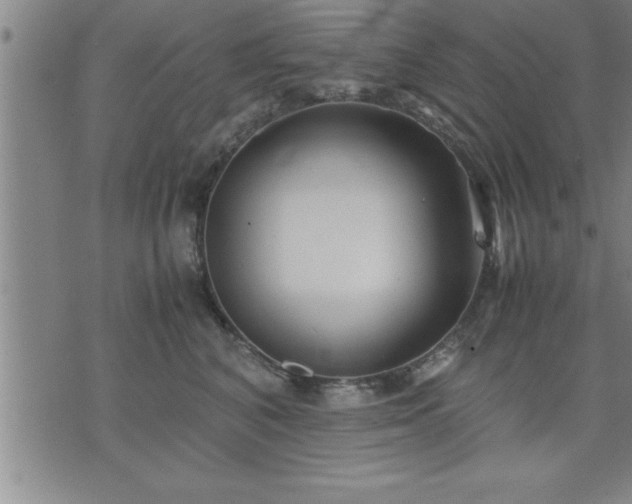 X0000075840616200609221707