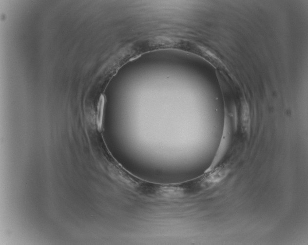 X0000075840617200609221707