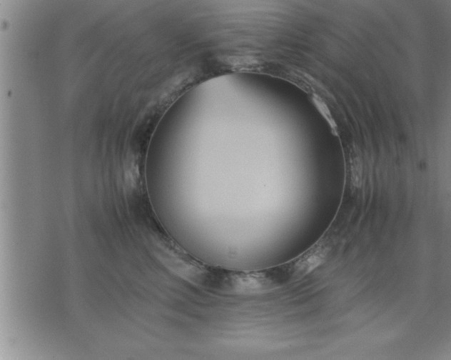 X0000075840618200609221707