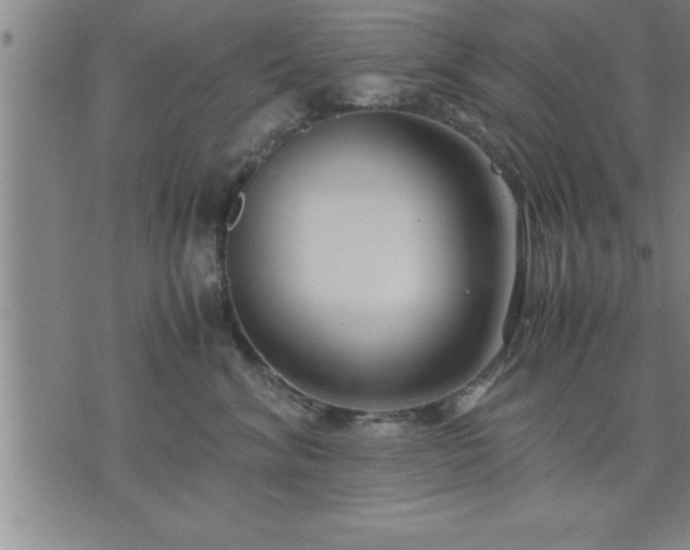 X0000075840620200609221706